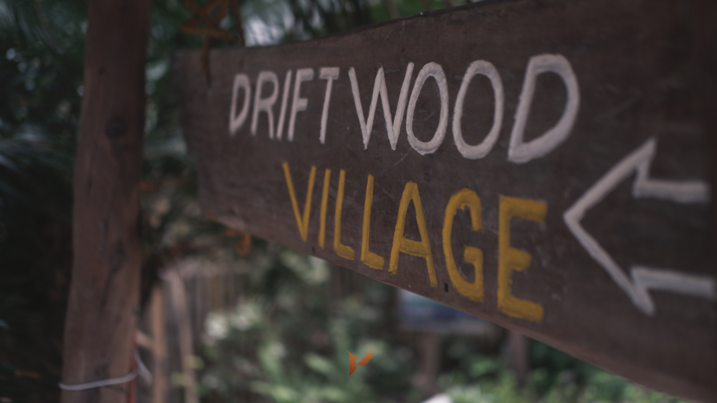 You are currently viewing DRIFTED KINDLINGS | DRIFTWOOD VILLAGE RESORT